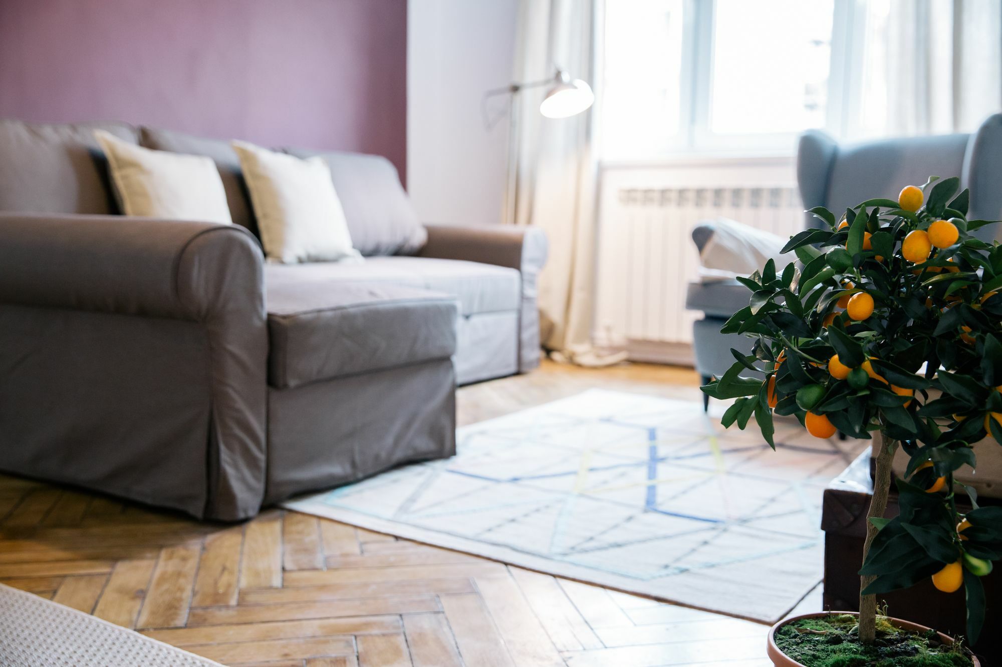 Neo Apartment Horea Cluj Napoca Bagian luar foto